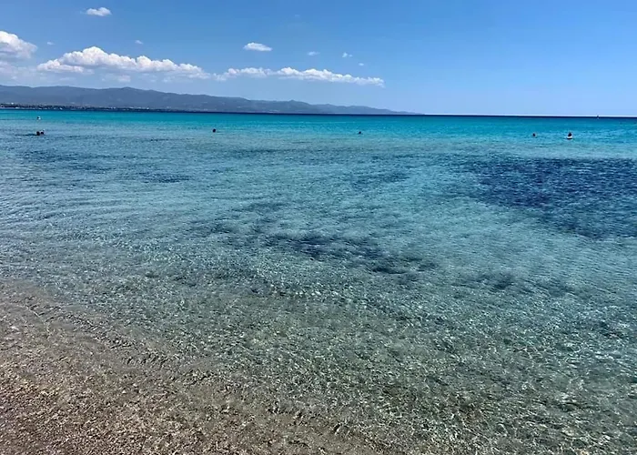 Vintage * 卡坦扎罗