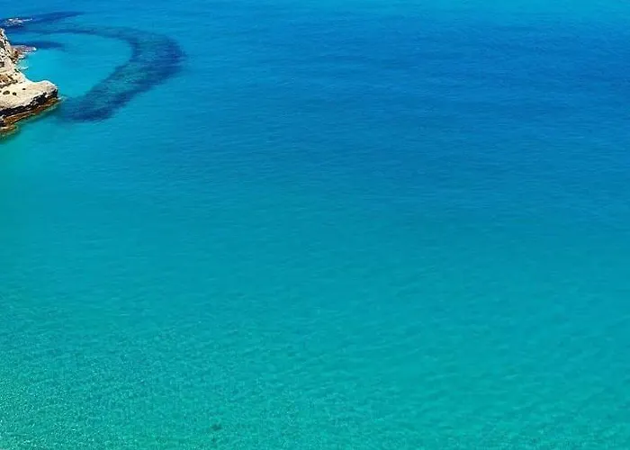 Vintage 卡坦扎罗