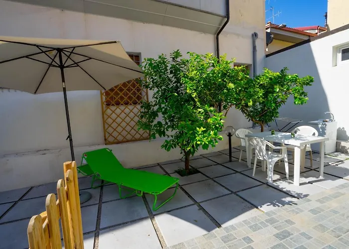 Vintage 卡坦扎罗