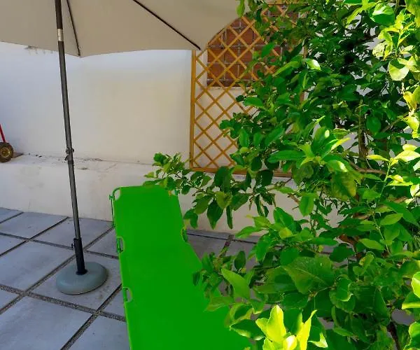 Vintage * 卡坦扎罗